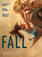(Bild für) Fall (FS - FHD)