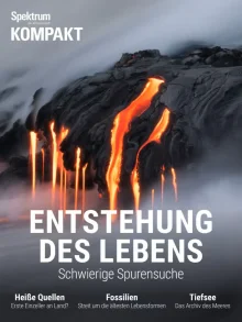 (Bild für) Entstehung des Lebens (WS - FHD)