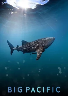 (Bild für) Big Pacific (FS - HD)