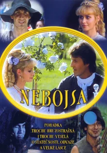 (Bild für) Der Furchtlose (4:3 - FHD)