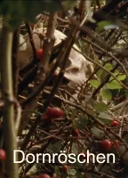 (Bild für) Dornröschen (FS - FHD)