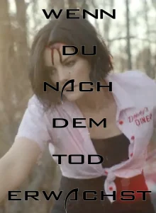 (Bild für) Wenn du nach dem Tod erwachst (WS - FHD)