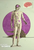 (Bild für) Drogen - Eine Weltgeschichte + Cannabis (FS - HD)