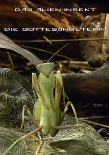 (Bild für) Das Alien-Insekt - Die Gottesanbeterin (FS - FHD)