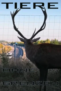 (Bild für) Tiere ohne Grenzen (FS - HD)