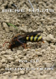 (Bild für) Biene Majas wilde Schwestern - Kollektion (FS - FHD)