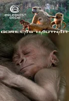 (Bild für) Erlebnis Erde: Gorillas hautnah (FS - FHD)