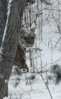 (Bild für) Der Sibirische Tiger (FS - FHD)