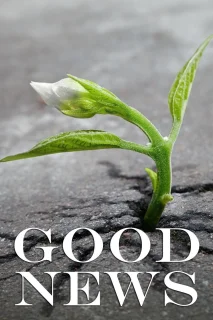 (Bild für) Good News (s/w - WS - FHD)