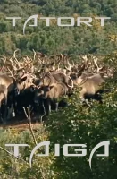 (Bild für) Tatort Taiga - Russlands grüne Lunge in Not (FS - HD)