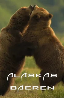 (Bild für) Alaskas Bären (FS - FHD)