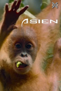 (Bild für) Asien | Terra X Dokureihe - (FS - FHD)