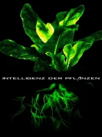 (Bild für) Die erstaunlichen Fähigkeiten der Pflanzen (FS - FHD)