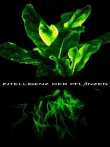 (Bild für) Die erstaunlichen Fähigkeiten der Pflanzen (FS - FHD)