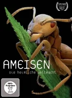 (Bild für) Ameisen - Die heimliche Weltmacht (FS - HD)