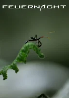 (Bild für) Feuernacht (Originalversion mit Untertitel) (FS - HD)