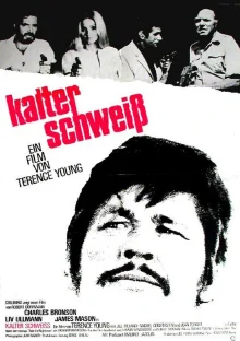 (Bild für) Kalter Schweiß (FS - FHD)