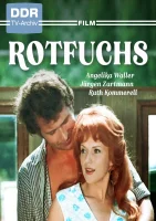 (Bild für) Rotfuchs (4:3 - FHD)
