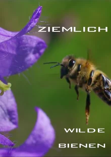 (Bild für) Ziemlich wilde Bienen (FS - FHD)