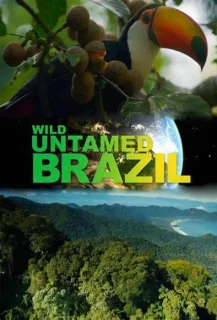 (Bild für) Wildes Brasilien (Fullscreen)