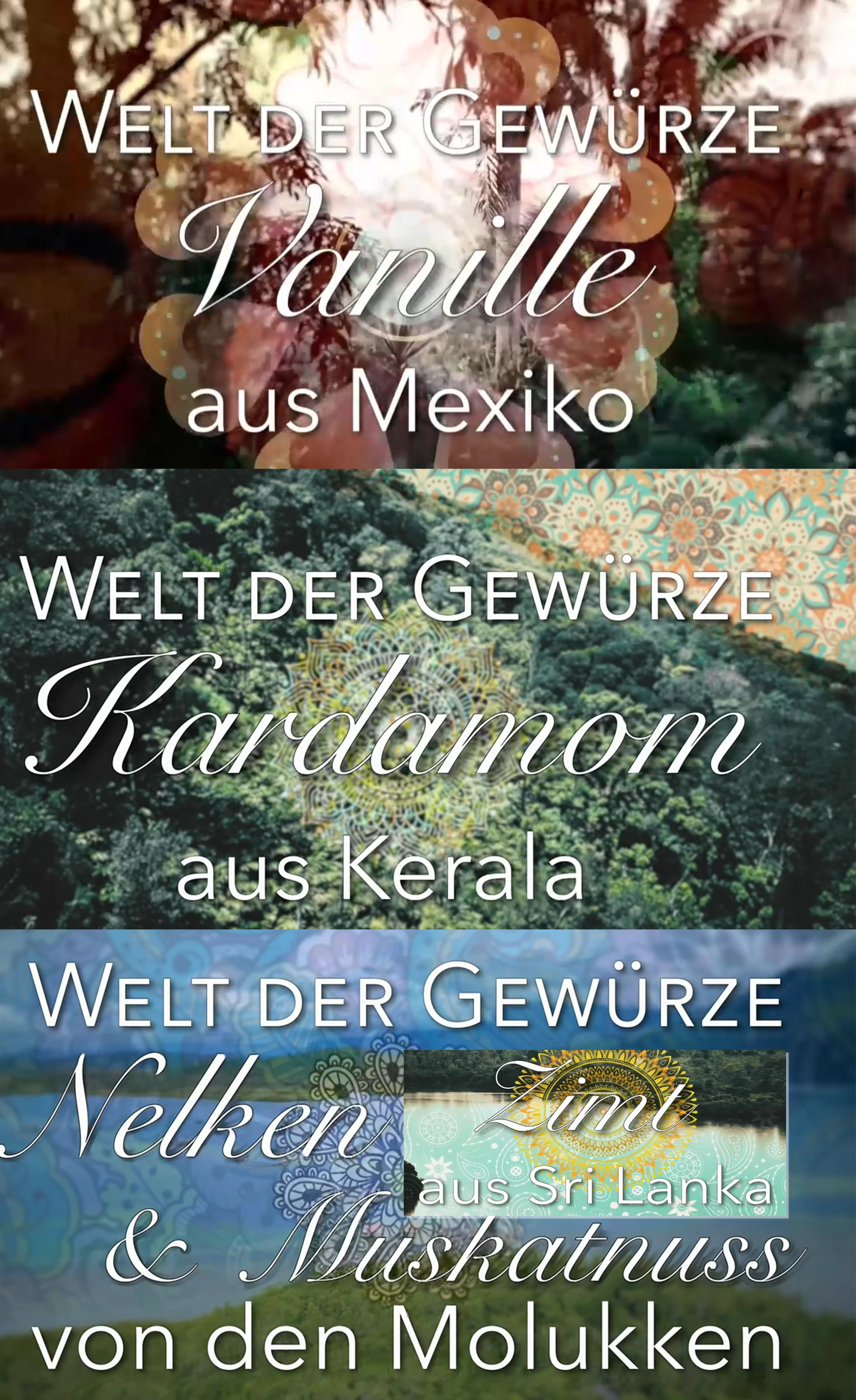 (Bild für) Welt der Gewürze (FS - FHD)