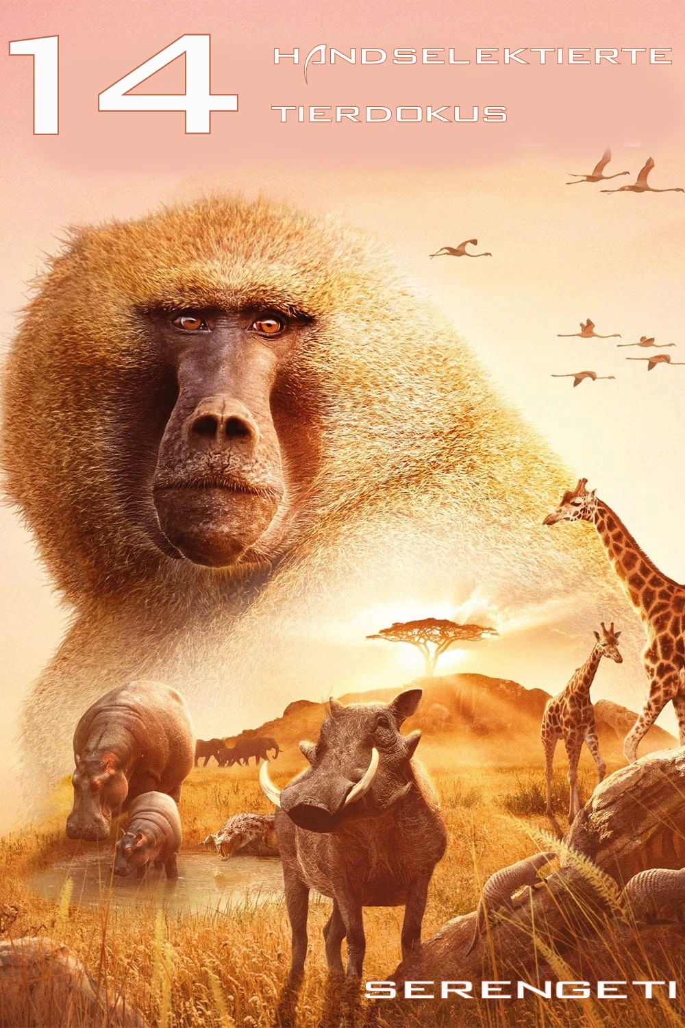 (Bild für) Serengeti - Wilde Geschichten aus der Savanne (FS - HD)