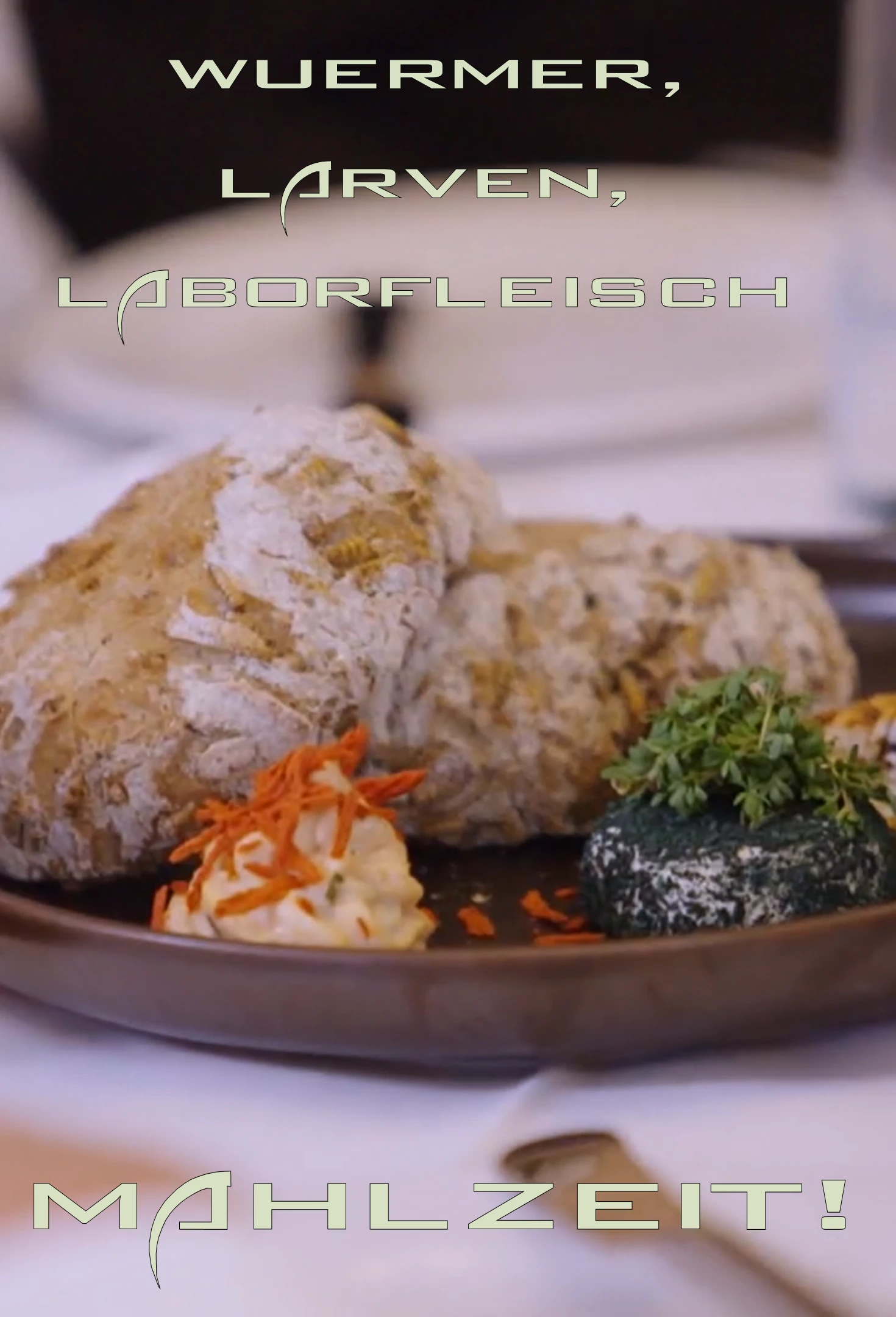 (Bild für) Würmer, Larven, Laborfleisch - Mahlzeit! (FS - FHD)