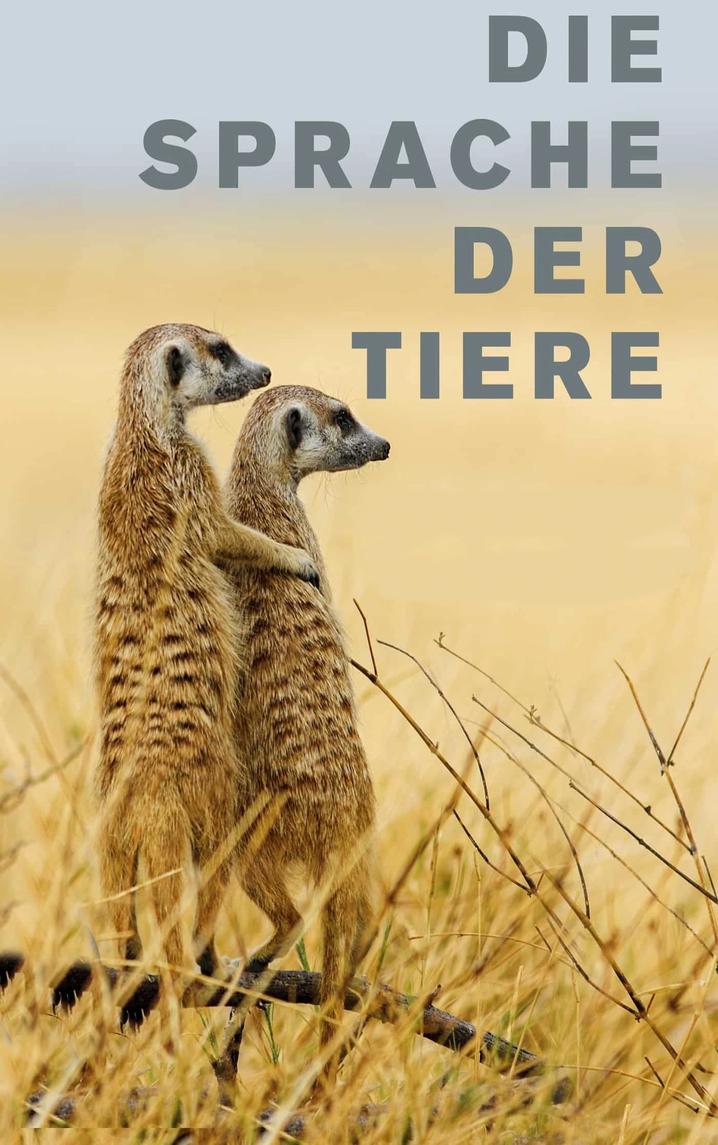 (Bild für) Die Sprache der Tiere (FS - FHD)