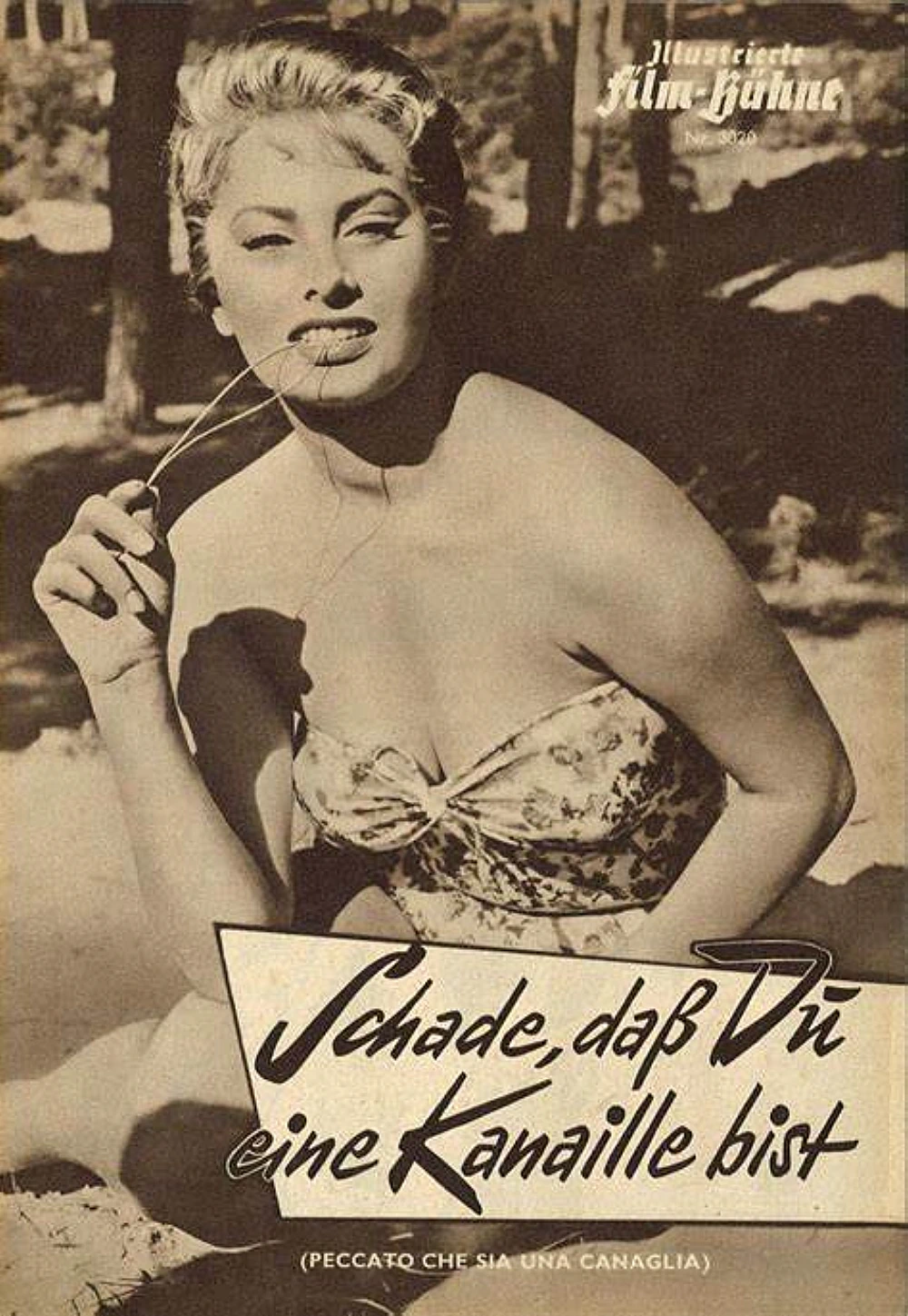 (Bild für) Schade, dass du eine Kanaille bist (s/w - FS FHD)