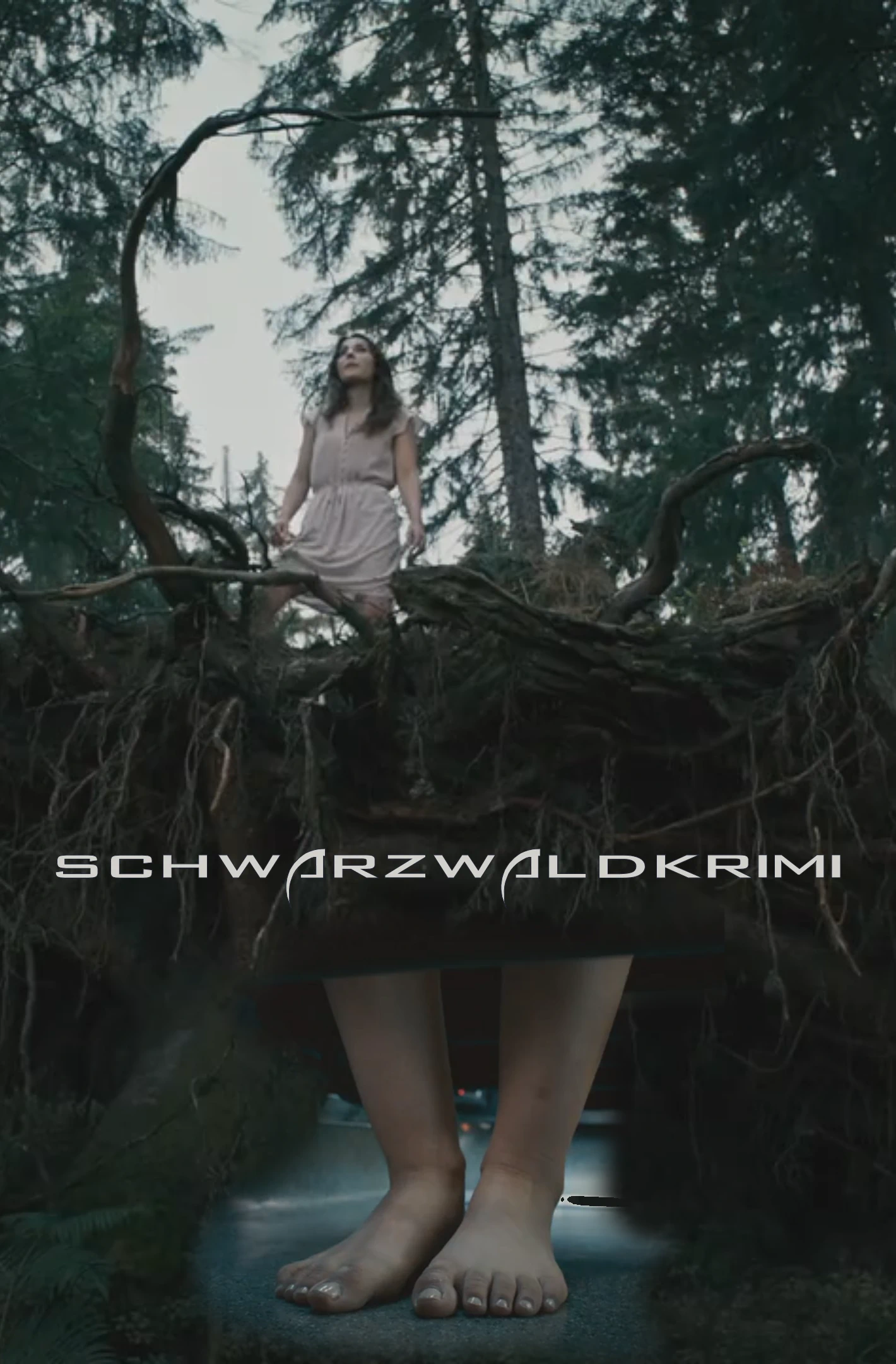 (Bild für) Schwarzwaldkrimi - Waldgericht - Und tot bist Du (FS - HD)